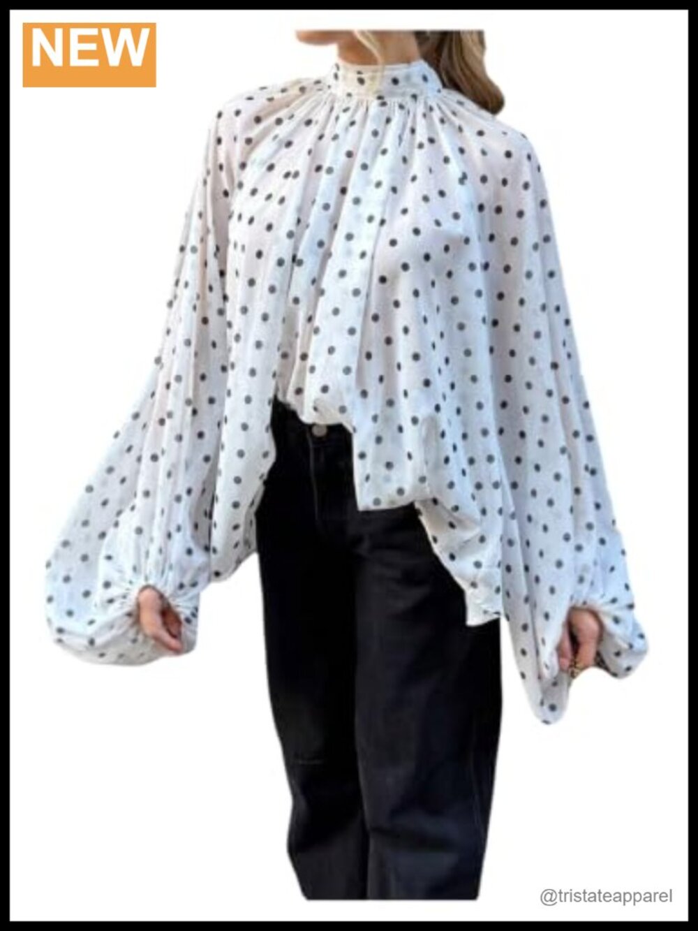 Sheer Polka Dot Blouse Pleated Mock Neck Long Bishop Sleeve